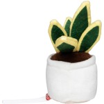 M160848 Mbw Sansevieria Schmoozies 3