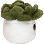 M160849 Mbw Sukulent Schmoozies 3