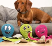M170055 mbw zabawka dla psa Ośmiornica
