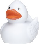 M131004 mbw skrzypiąca kaczka biała 2