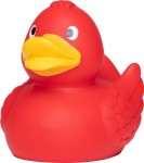 M131004 mbw skrzypiąca kaczka czerwona 2