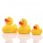 M131012 mbw gumowa kaczka