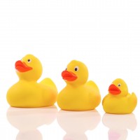 M131012 mbw gumowa kaczka