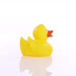 M131175 mbw gumowa kaczka 4