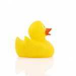 M131176 mbw gumowa kaczka 4