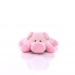 M160605 mbw Świnka do czyszczenia ekranu 3