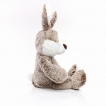 M160815 mbw Królik Clemens 2