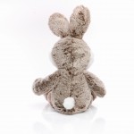 M160815 mbw Królik Clemens 3