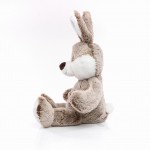 M160815 mbw Królik Clemens 4